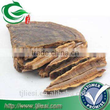 supply lucid ganoderma not extract