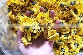 Chrysanthemum Tea Extracted From Chrysanthemum Flower the Optimal Choice for Your Health From Vietnam photo-3