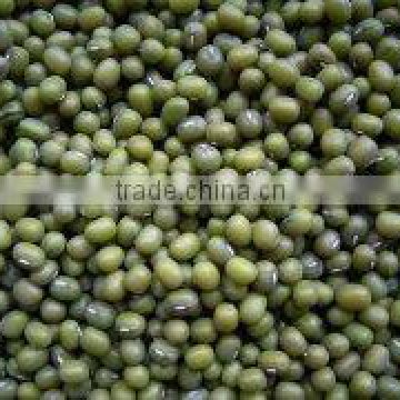 green mung beans Hand Cleaned