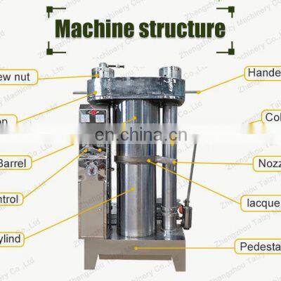 Hemp Seed Oil Press Cold Pressed Avocado Oil Machine Olive Oil Press photo-5