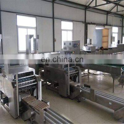 Commercial Egg White Powder Processing Machine photo-4