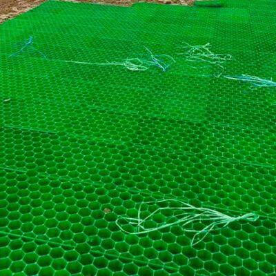 5cm7cm Flower Mouth Flat Mouth Grass Green Parking Lot Fire Lane Roof Garden Grass Planting Grid photo-5