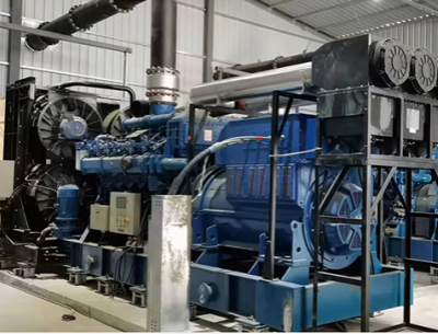 BFMP supplies diesel gensets and gas generator sets for the data center backup power station