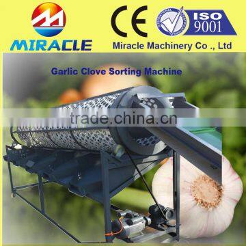 Commercial garlic sorting machine to sort and grade garlic cloves by size