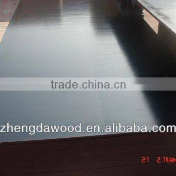 Black film combi core melamine glue 12mm film faced shuttering plywood