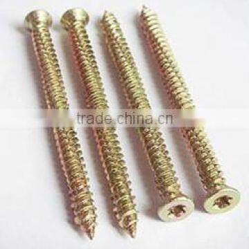 Countersunk Head Torx Drive Window Screw/concrete Screw