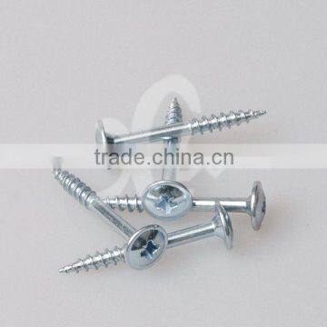 Round washer screw