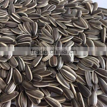 Sunflower seeds, Chinese factory