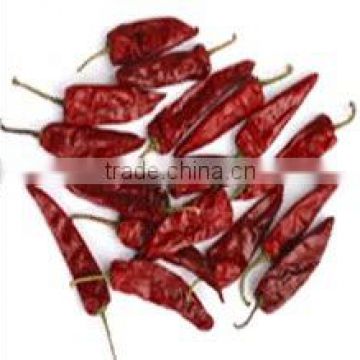 wholesale top quality jinta red pepper