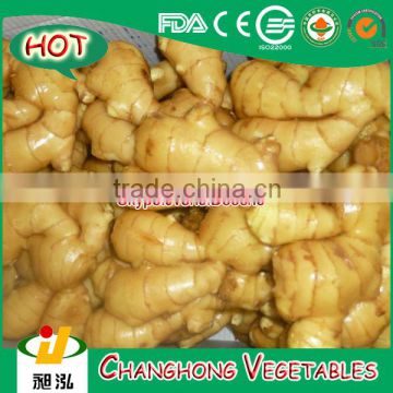 2015 fresh ginger with lowest price 9kg/carton