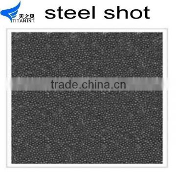 Supply stainless steel cut wire shot