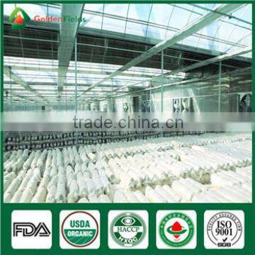 Mushroom Spawn for Sale,Shiitake Mushroom Spawn Wholesale Supplier photo-3