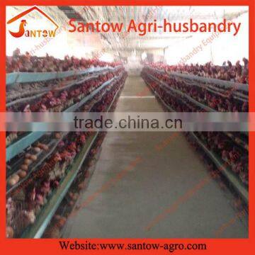 Cheap Automatic Door Chicken Coop photo-6