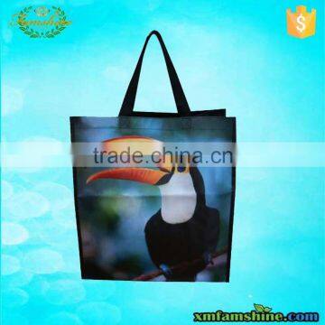 eco nonwoven laminated bag /laminated printed nonwoven bags