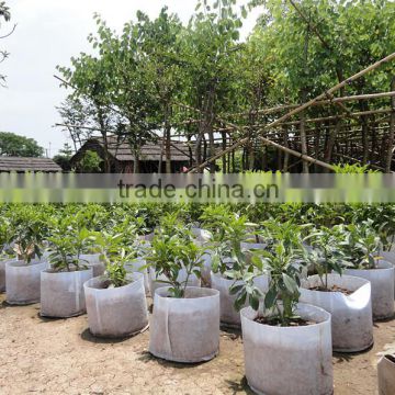 tree planting pot seeding grow bags