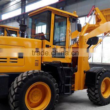 China Wholesaler Buying Agent of Mini Loader Factory photo-6