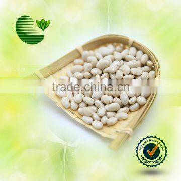 Chinese White Kidney Beans (Japanese Type)