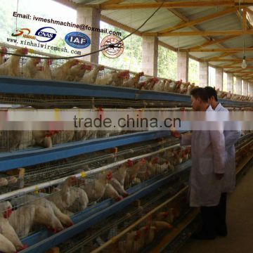 Automatic watering system Uganda chicken cage for sale