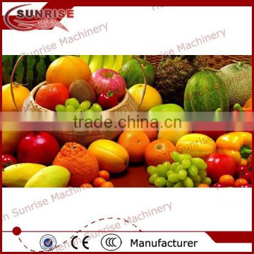 industrial watermelon juice extract machine