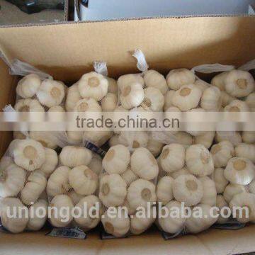 Chinese Fresh White Galic photo-2