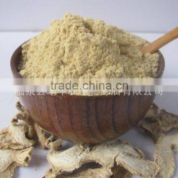 supply water soluble Ginger extract powder