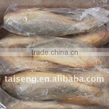 IQF Frozen Yellow Croaker With High Quality