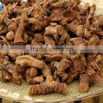 Big Zise Galangal Roots