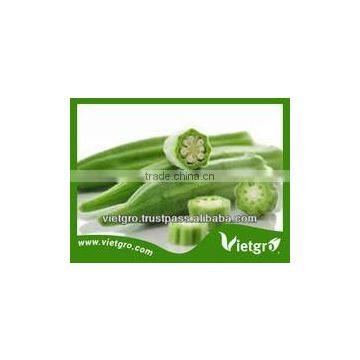 High Yield OP Okra Gumbo Pods Lady's finger Seeds VGO 04/ Vegetable seeds