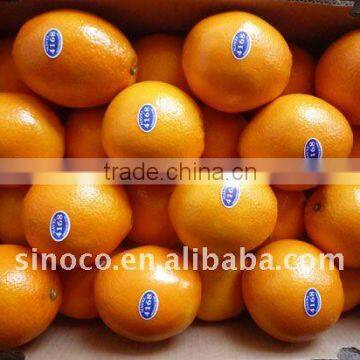 Buy Navel Oranges