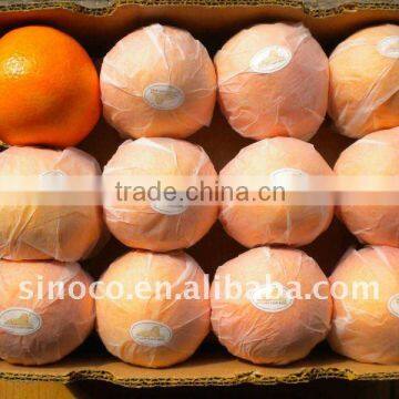 Fresh Navel Orange Supplier