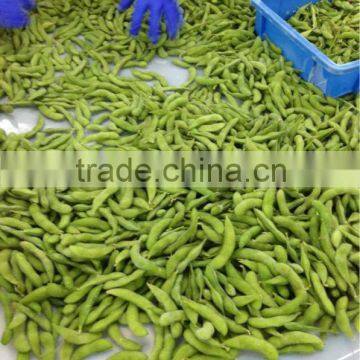 CHINA IQF boiled soybean