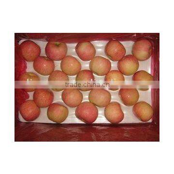 2013 New Fresh Fuji Apples