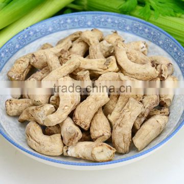 New crop orangic mushrooms stem for sale