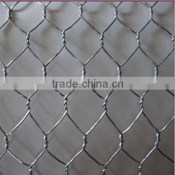 Anping Shengyang Professional manufacturer chicken wire mesh