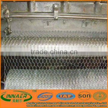 HOT Hexagonal wire netting