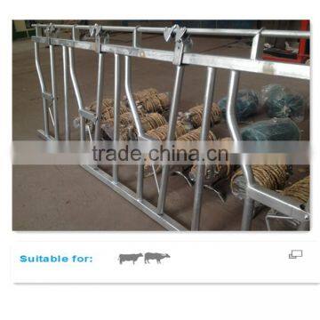 Galvanized Steel Pipe Cow Healock for 8 Cows Locking