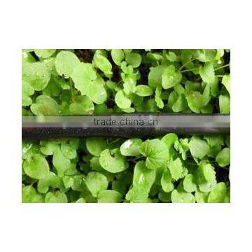 good quality 16mm plastic drip irrigation emitter pipe for agriculture