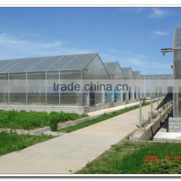 Large Pinnacle Ridge Roof PC Greenhouse