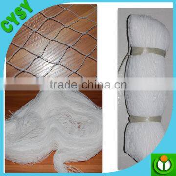Agriculture Used 100% Virgin HDPE Plastic Green Weaving Anti-bird Net on Hot Selling