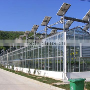 High quality glass greenhouse with greenhouse heater