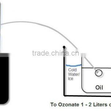 Multi Purpose Ozonizer Aquarium Air Stone 3000mg Laundry Ozone Generator for Water Tank photo-6