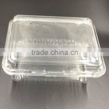 Blister large clear plastic fruit container with lid for fruit packaging