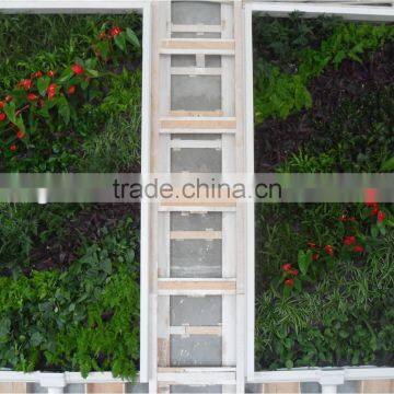 Fake Grass Wall uv /fire Resist Factory (6sqm ) China Artificial Plant Wall photo-3