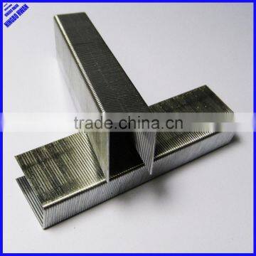 Quantity office galvanized heavy duty staples 23/20