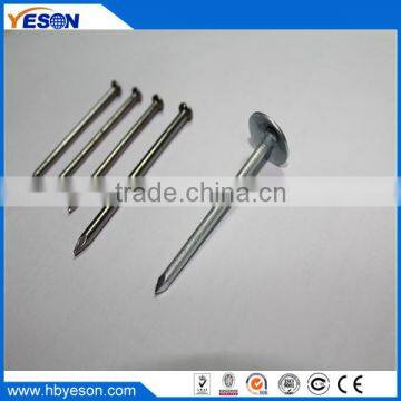 1.5 inch polish common iron nails factory