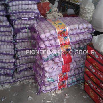 Jinxiang Fresh Red Garlic 5.5cm Loose Packing In Mesh Bag