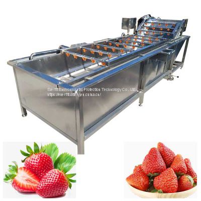 Strawberry Cleaning Machine