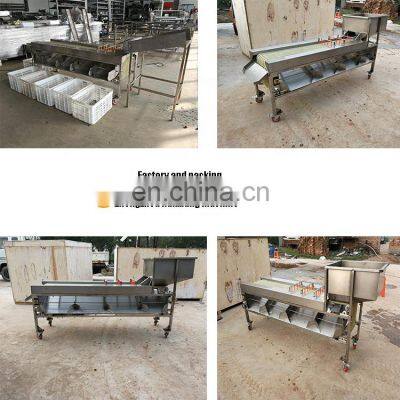 Commerical Passion Fruit Processing Avocado Onion Size Grading Sorting Machine. photo-5