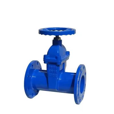 DIN 3352 F5 Pn16 Rubber Coated Ductile Iron Flange End Gate Valve