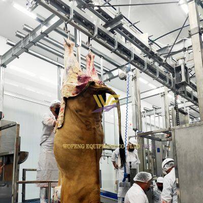 Freely Design Complete Cow Slaughter Line Equipment of Turnkey Project Solution Cattle Abattoir Machine